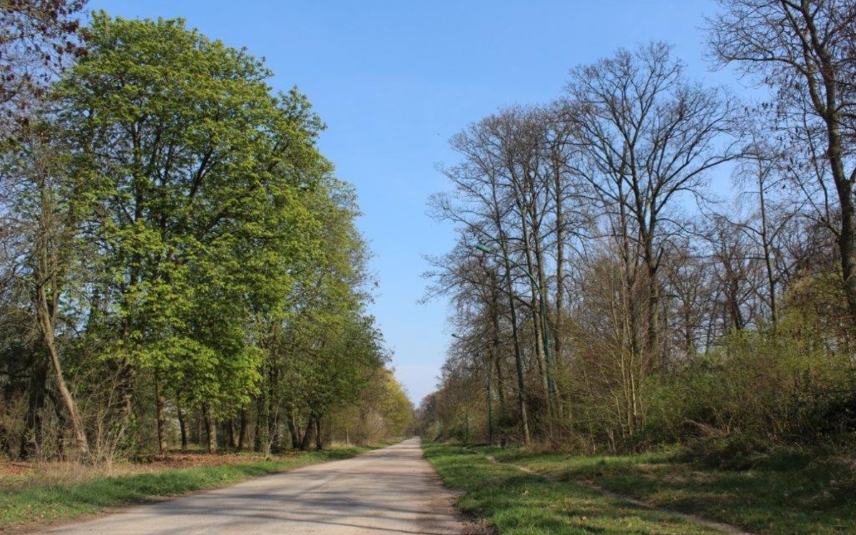 Histoire des Bois parisiens Maison Paris Nature Paris