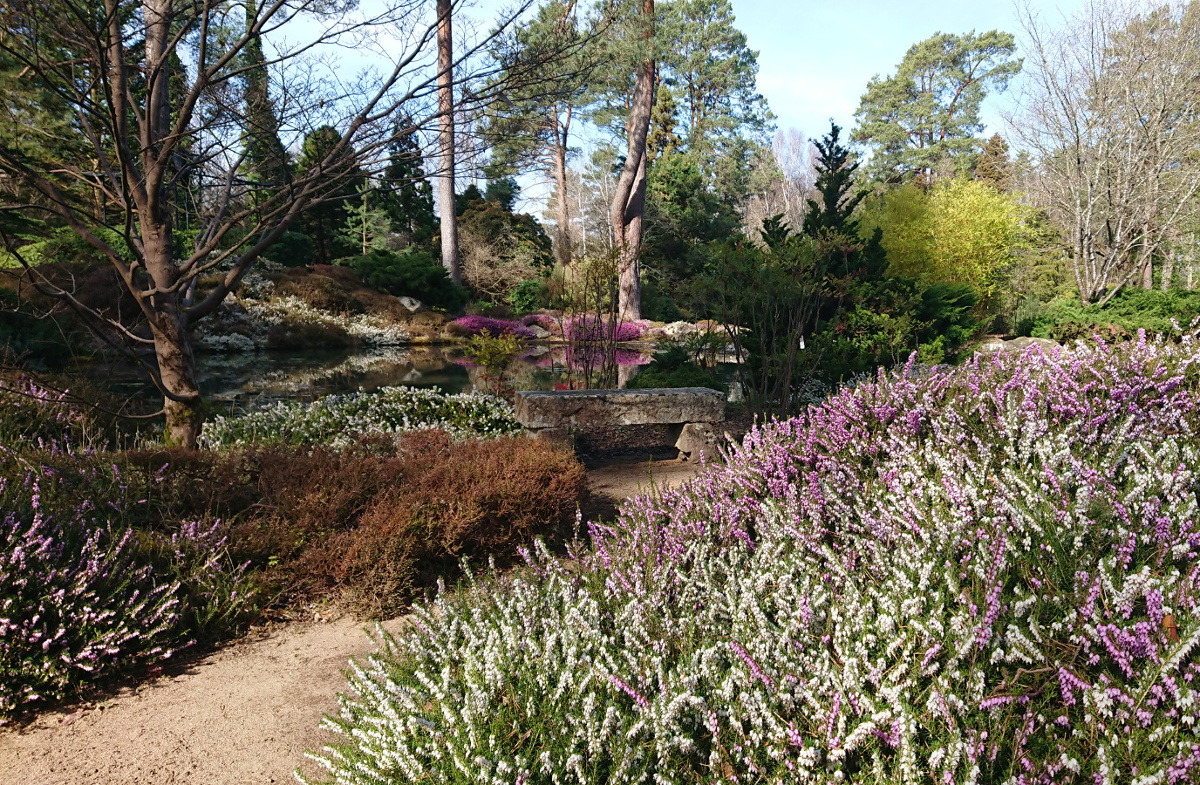 Bienvenue à l'Arboretum