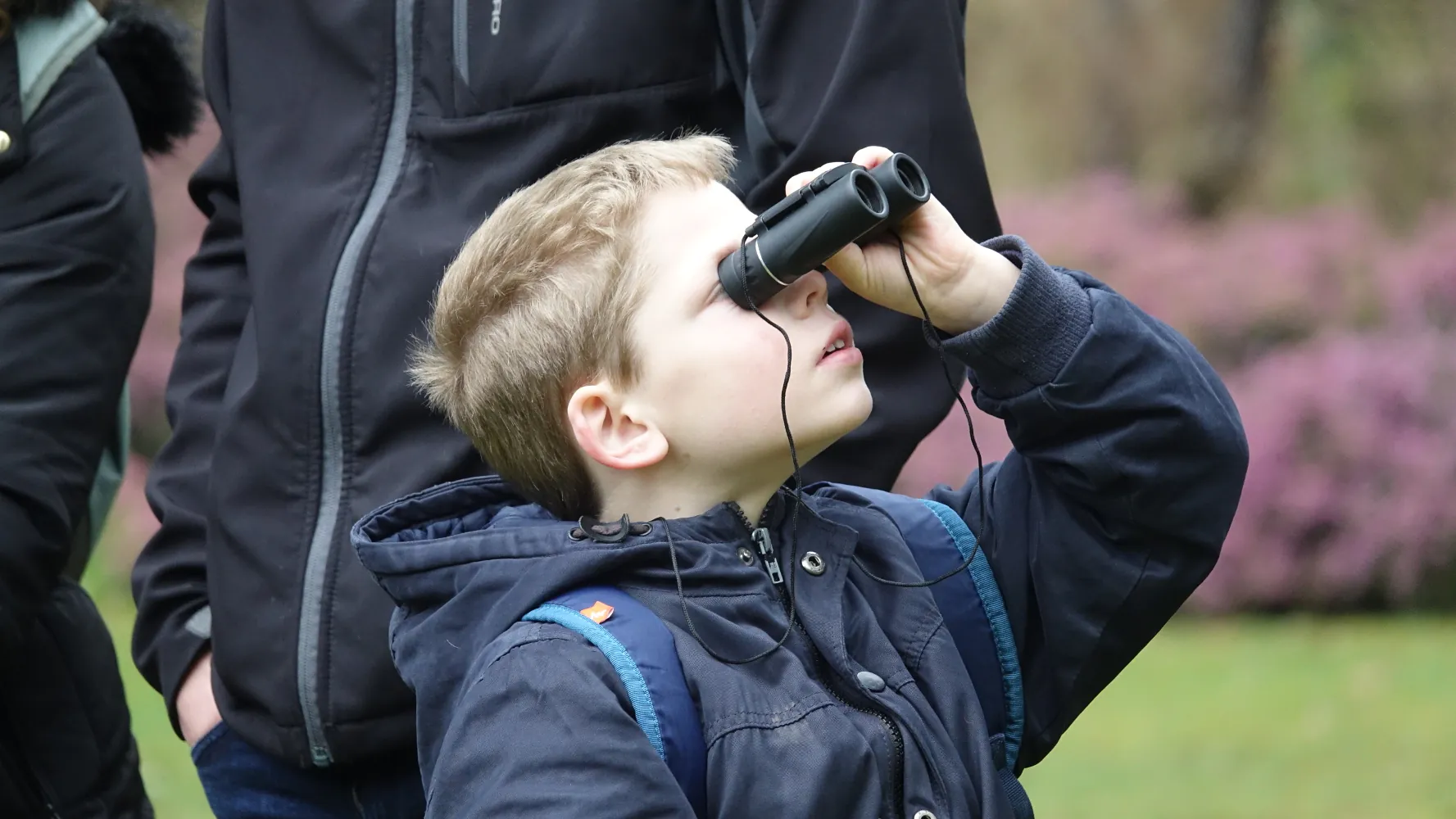 Oiseaux des parcs et jardins