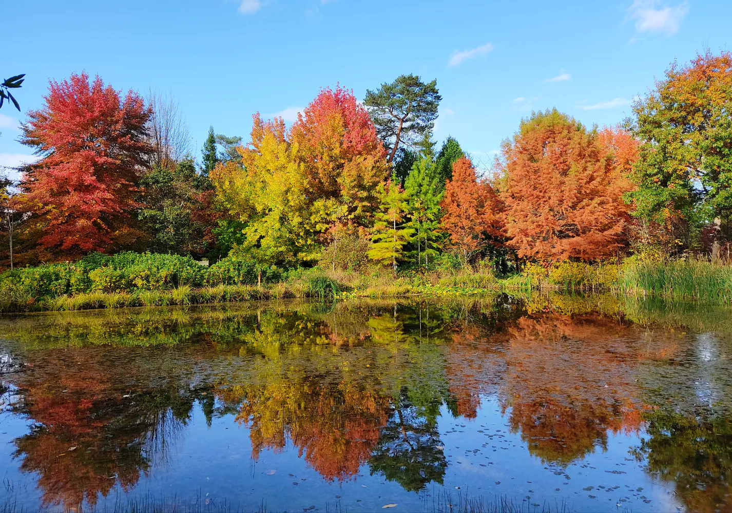 Dimanches d'Automne