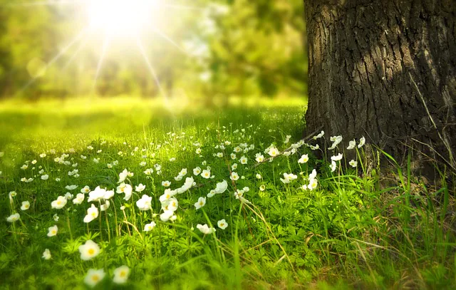 Atelier nature pour les moins de 3 ans Les tout-petits en sortie