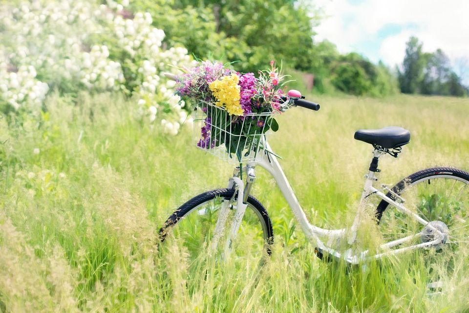 Voyage en vélo dans les paysages d'eaux de l'estuaire de la Gironde Sur inscription