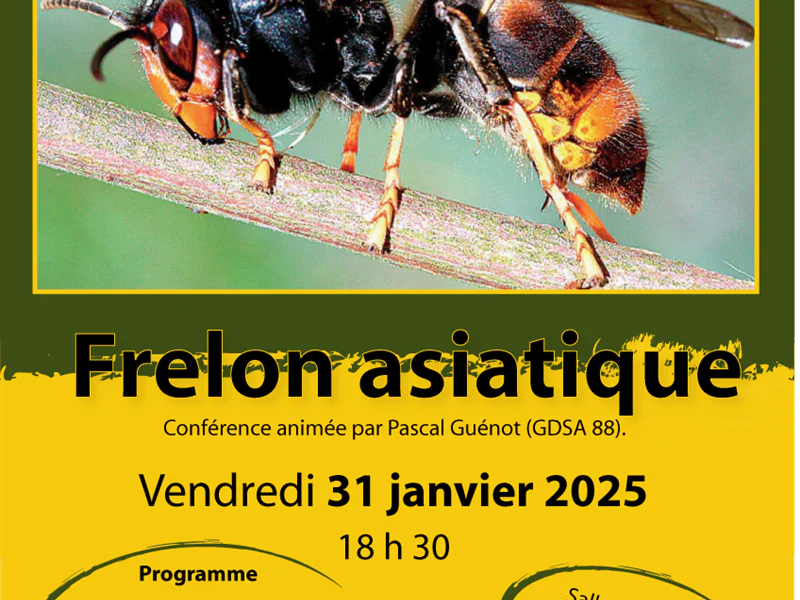 RÉUNION PUBLIQUE D'INFORMATION SUR LE FRELON ASIATIQUE