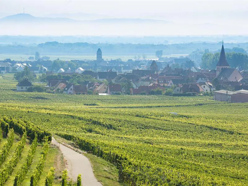 Conférence dégustation A la découverte des terroirs