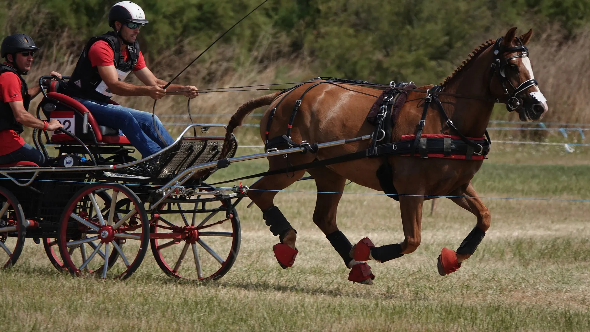 Concours d'attelage club