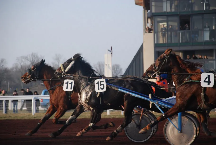 Courses hippiques de Trot