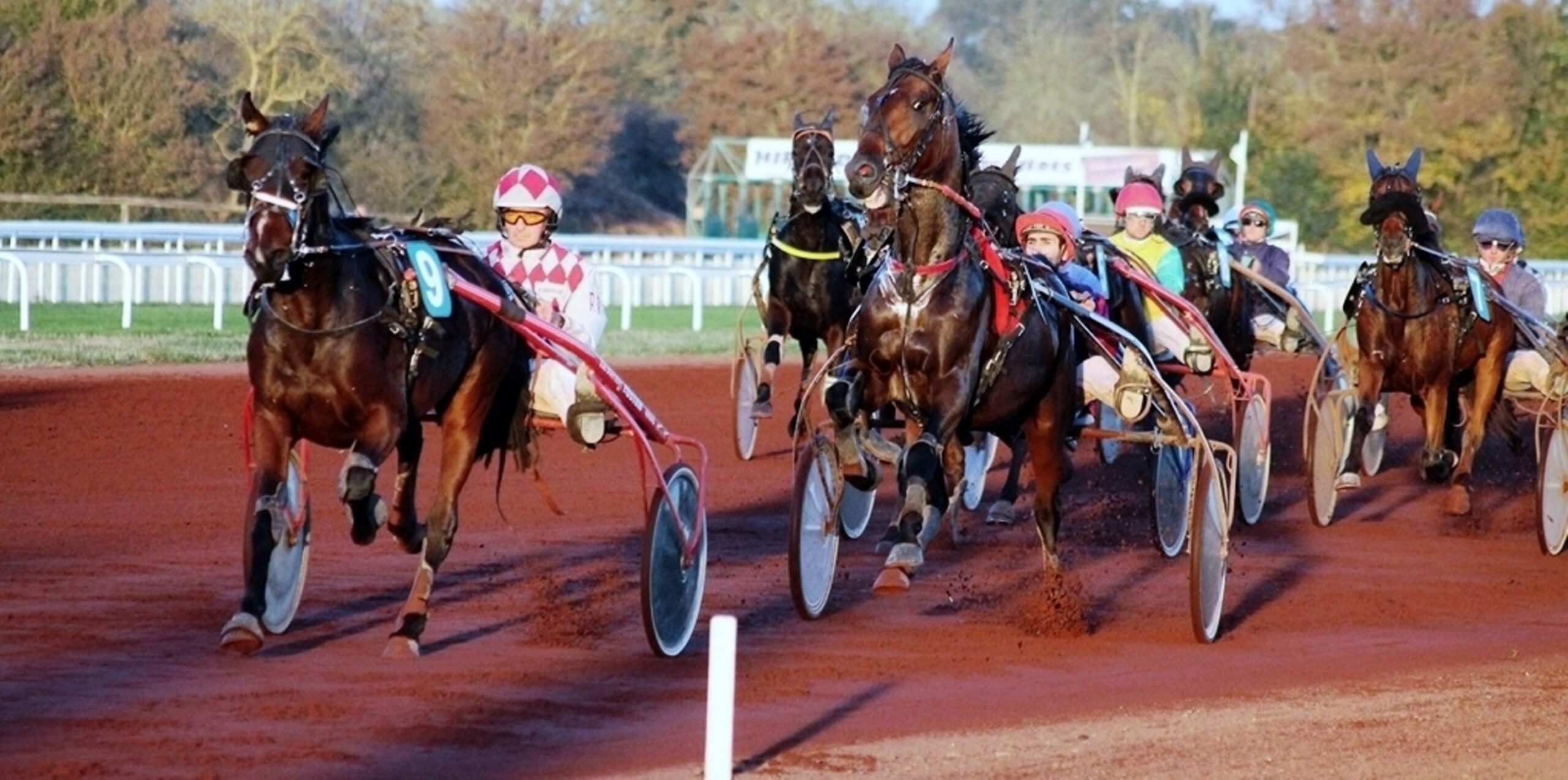 Courses hippiques réunion de Trot