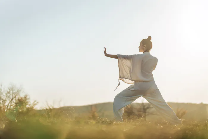 Atelier-santé Qi gong La Chadenède - Espace Carnot Alès