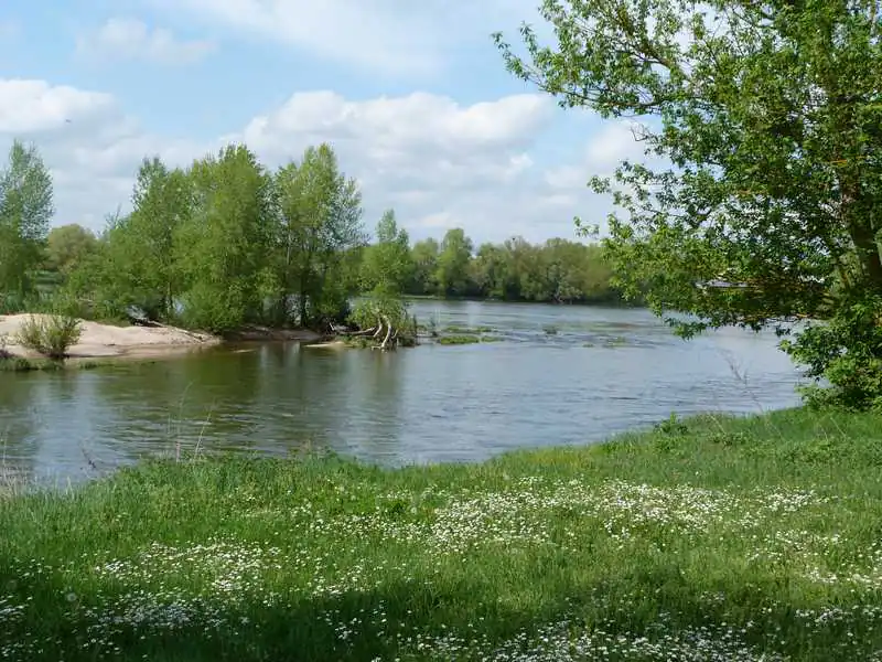 Rencontre-débat à l'Observatoire Loire