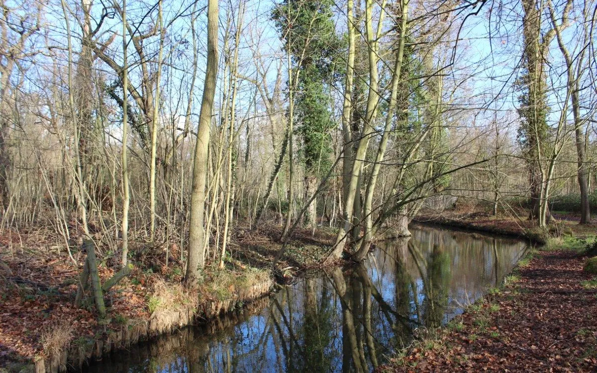 La nature au bois de Vincennes Parc Floral Paris