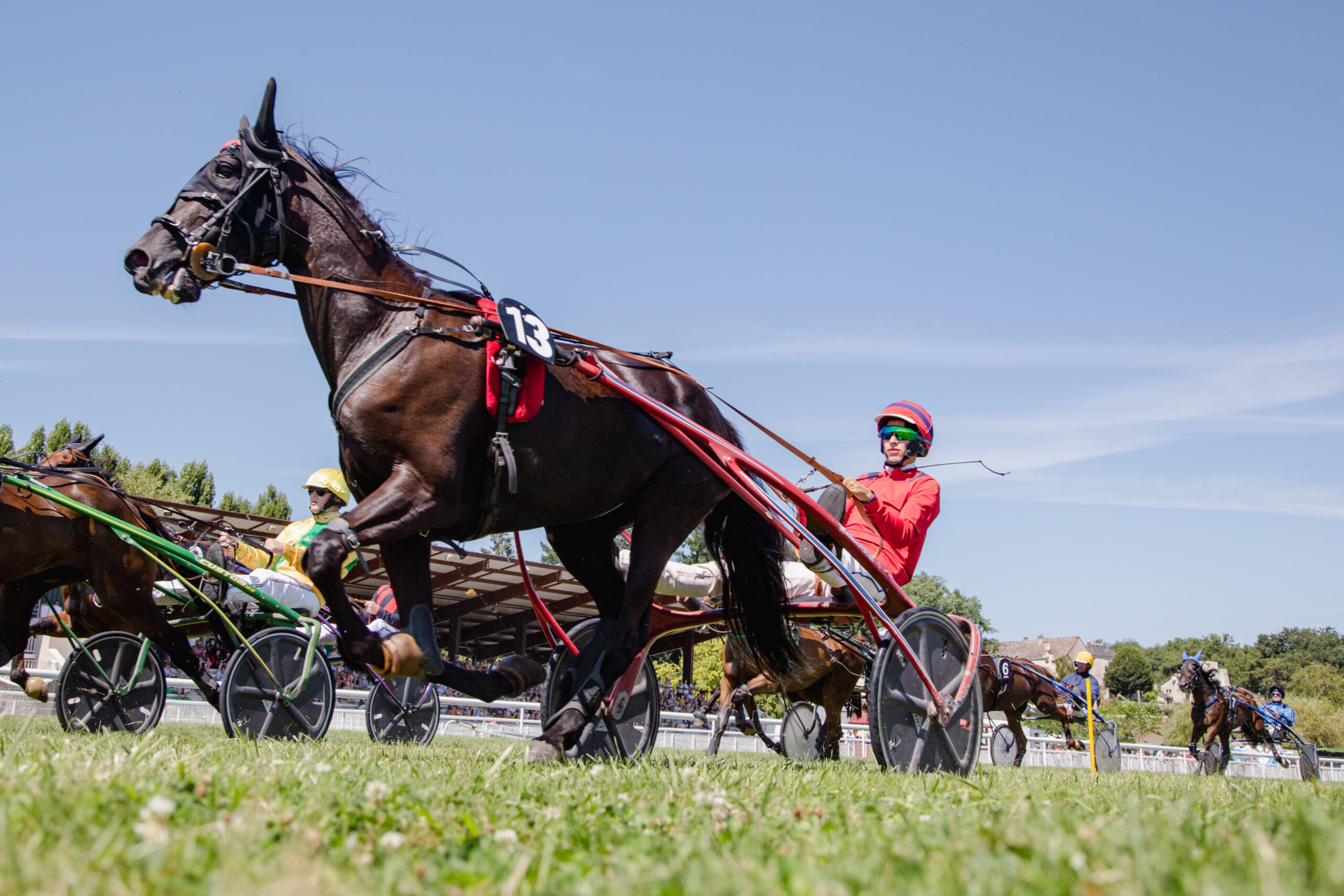 Courses hippiques Trot/Plat