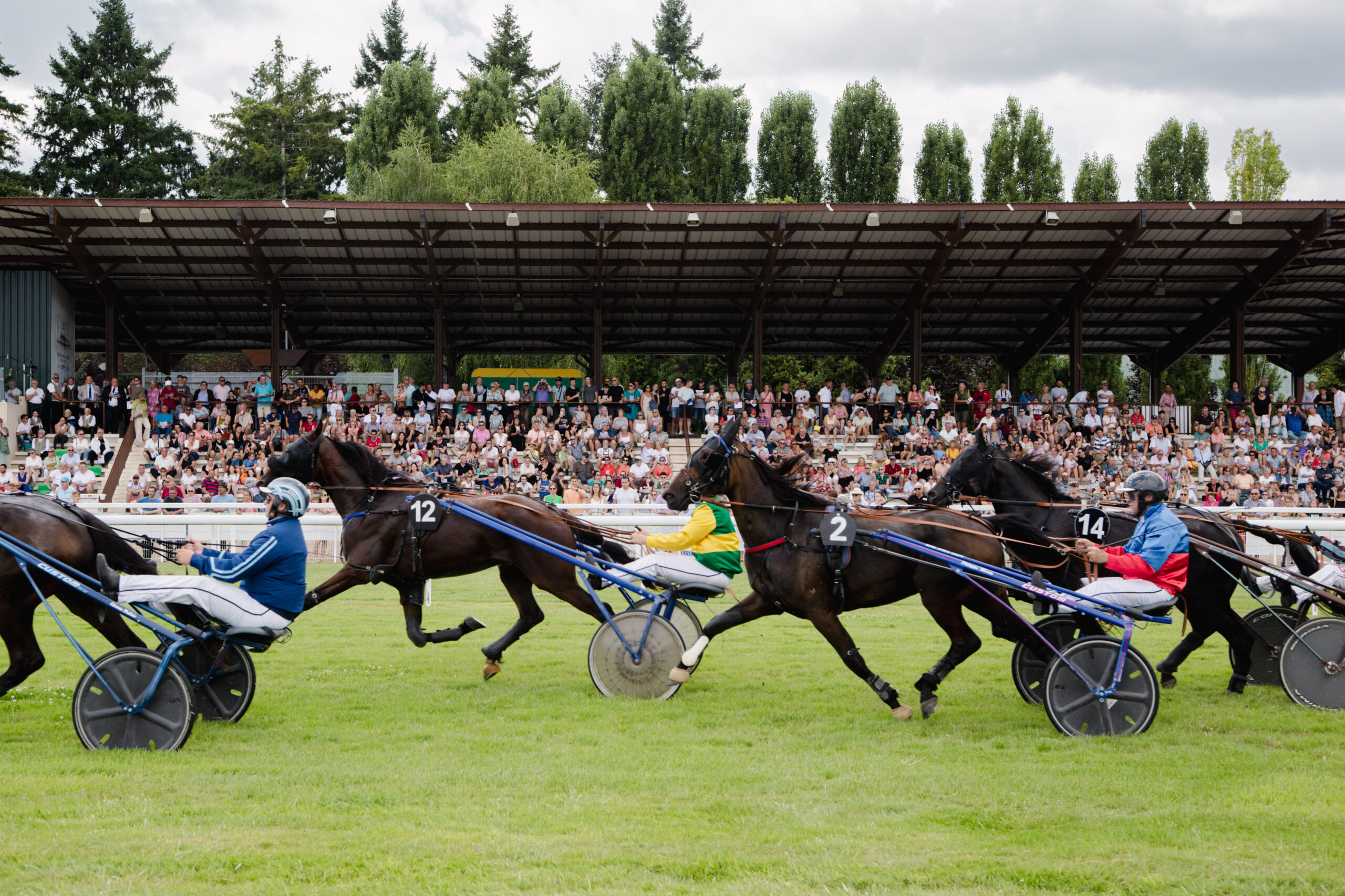 Courses hippiques Trot/Obstacle