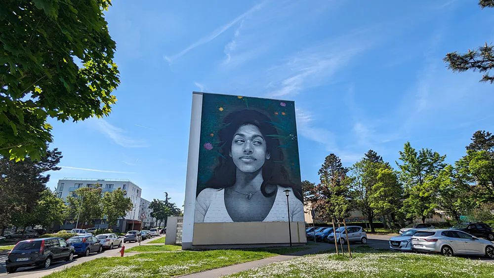 Visite guidée autour du street art à Laon