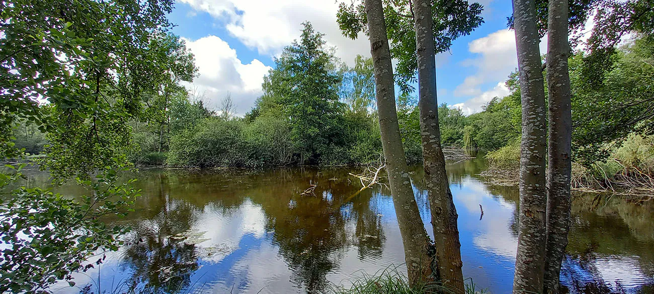 Sortie nature à Laon "Ambiance estivale dans le marais"