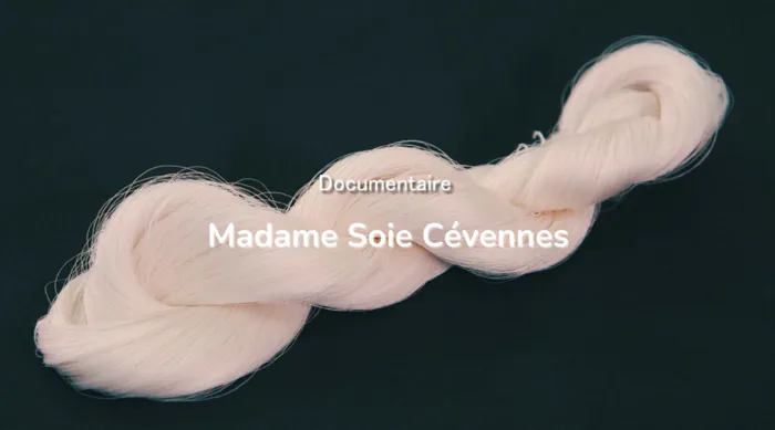 Projection du documentaire "Madame Soie Cévennes" Le Capitole Alès