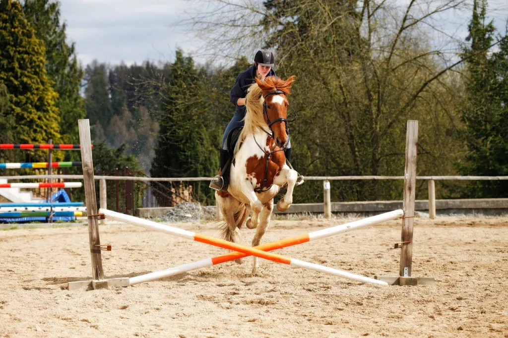 Concours hippique national