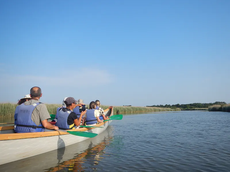 Visite de la réserve ornithologique et de son delta à pied et en canoë