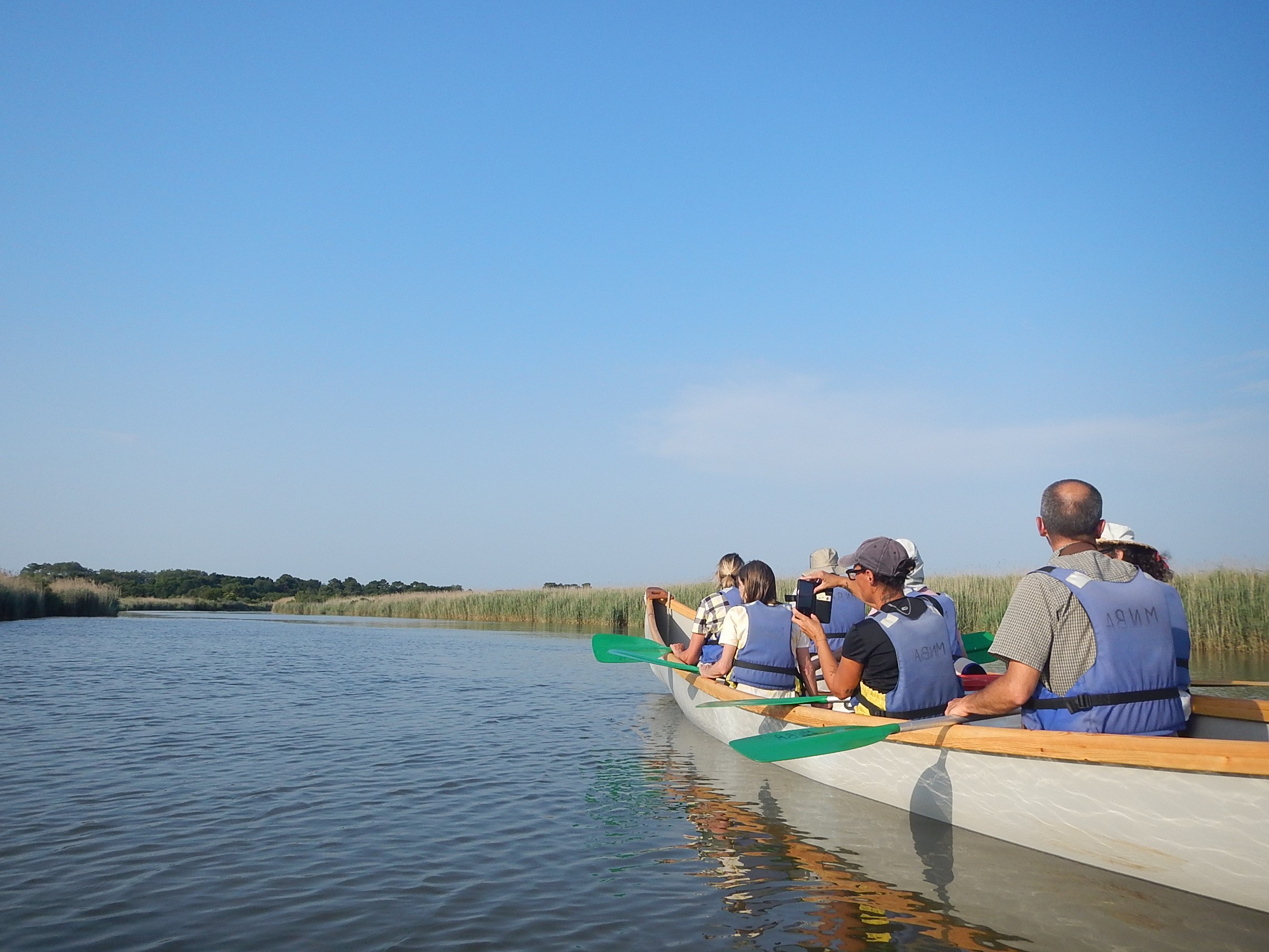 Visite libre de la réserve ornithologique et canoë collectif