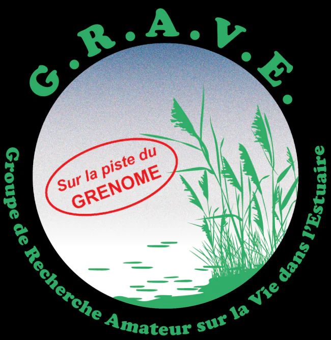 Animation au bureau du G.R.A.V.E (Visite libre)