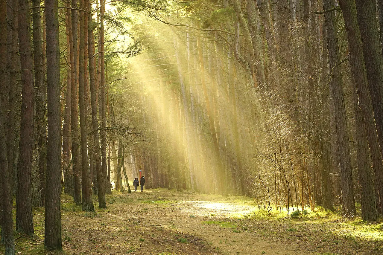 Exposition traces l'humain dans le paysage