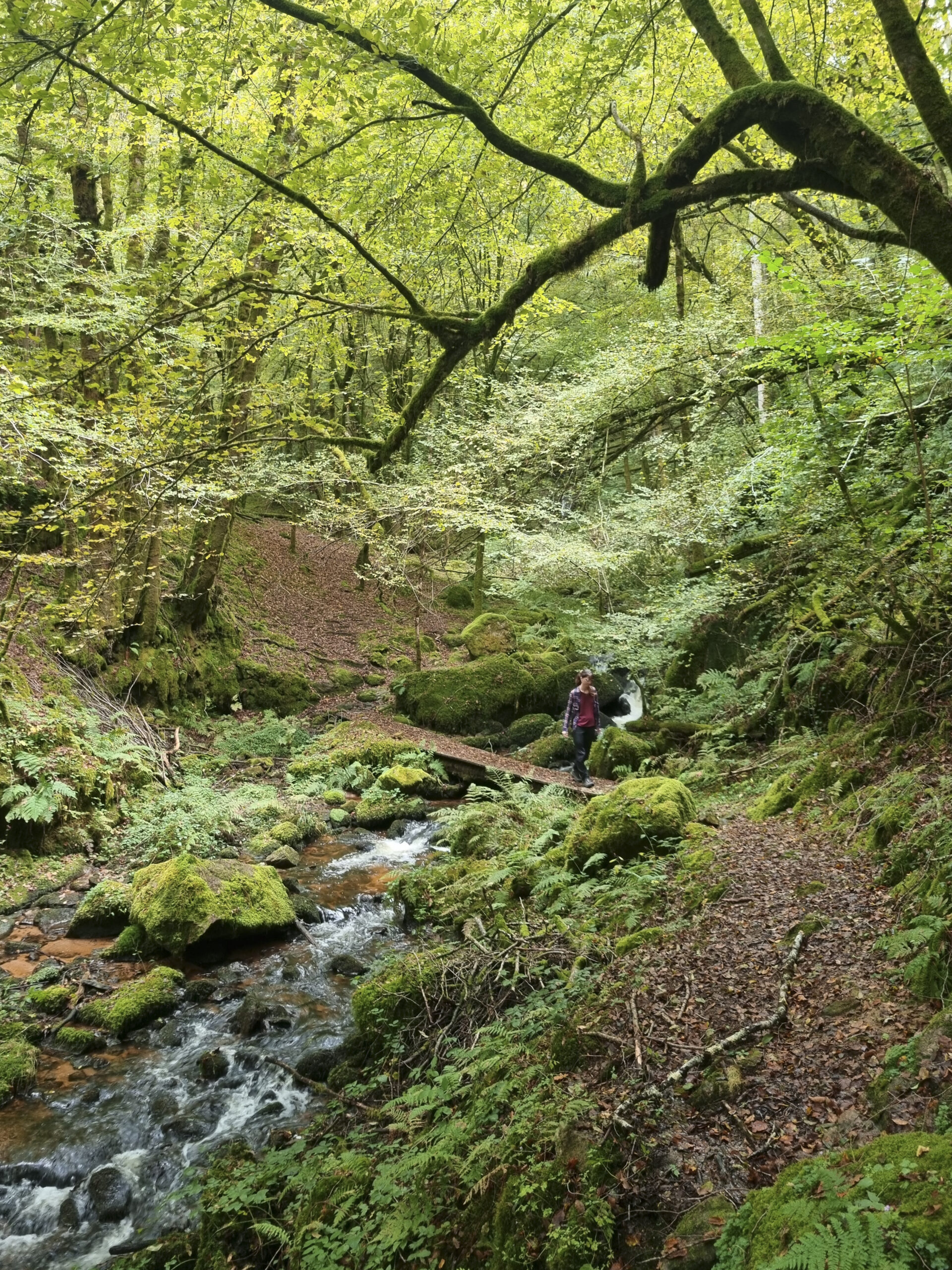 Les Roudouloux La Roche-Canillac Nouvelle-Aquitaine