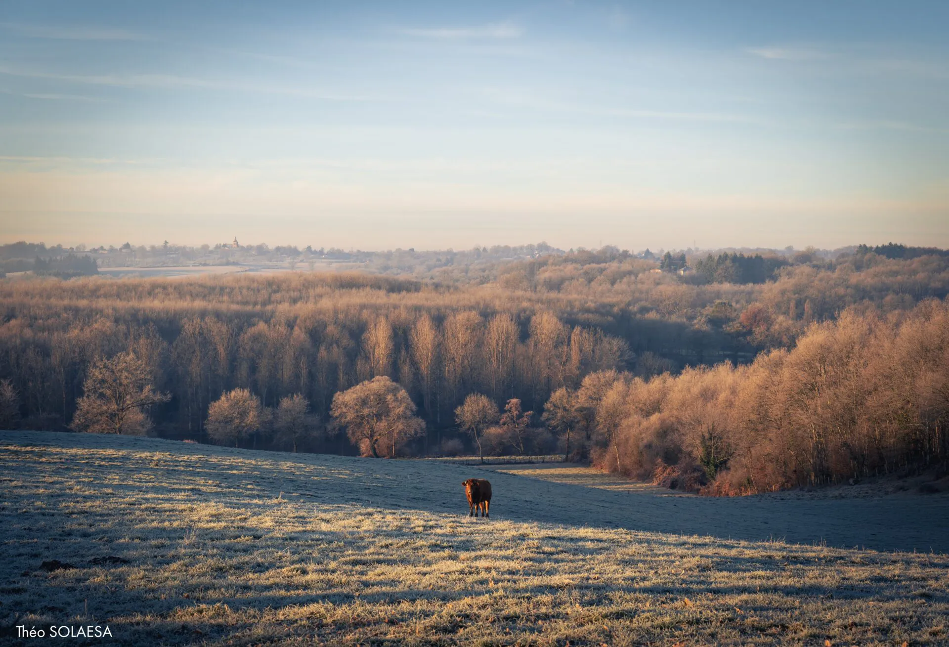 Rencontres photographiques du Limousin- Limoges