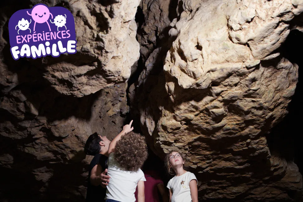 Animation famille "Grotte et gravure"