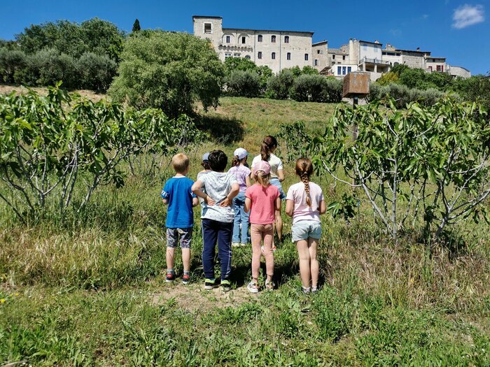 Atelier enfants - Jeu de piste Maison de la Figue Vézénobres