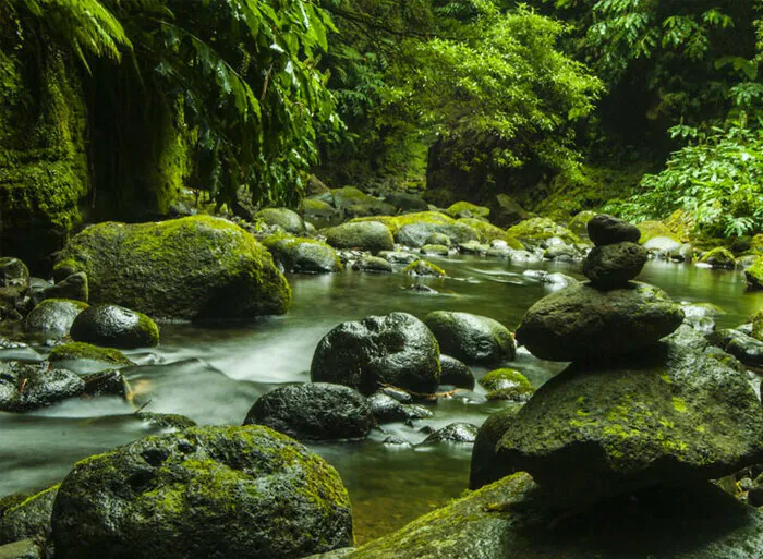 L'écologie des cours d’eau en Occitanie Médiathèque Côte Pavée Toulouse