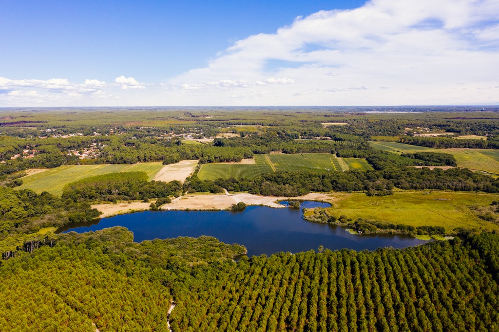 Journée mondiale des zones humides Sortie nature autour de l'étang