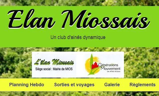 Bal de danses en ligne par l'Elan Miossais