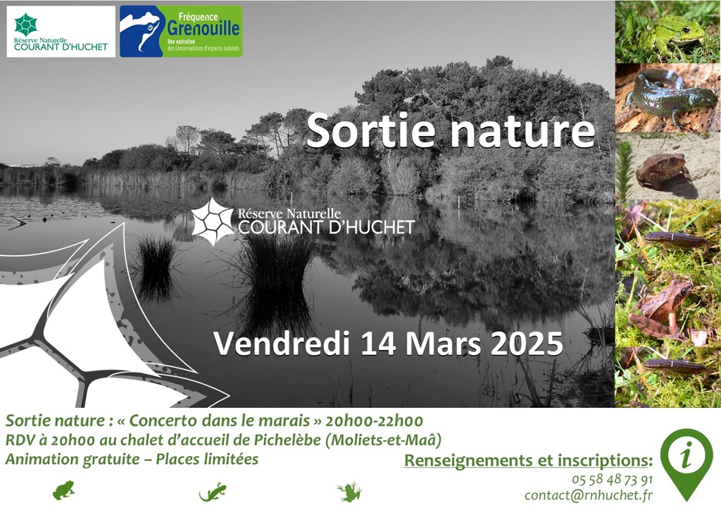 Sortie nature "concerto dans le marais"