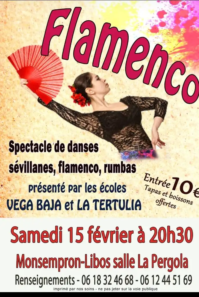 Spectacle Flamenco