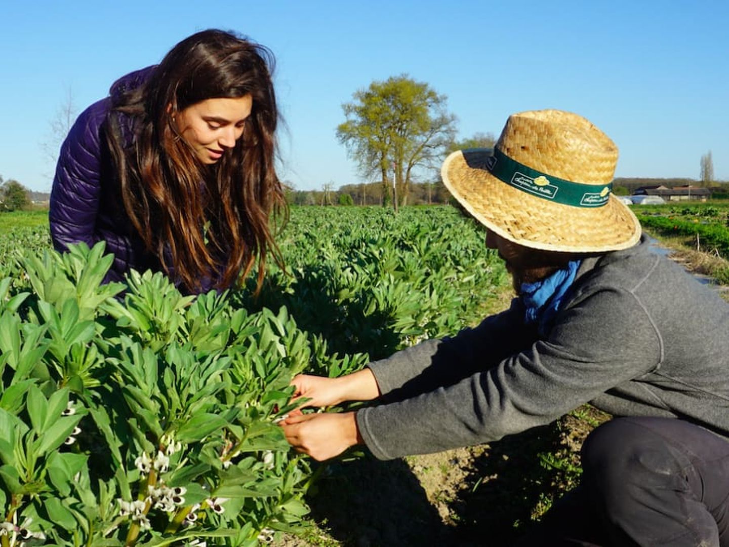 Atelier plantes sauvages comestibles