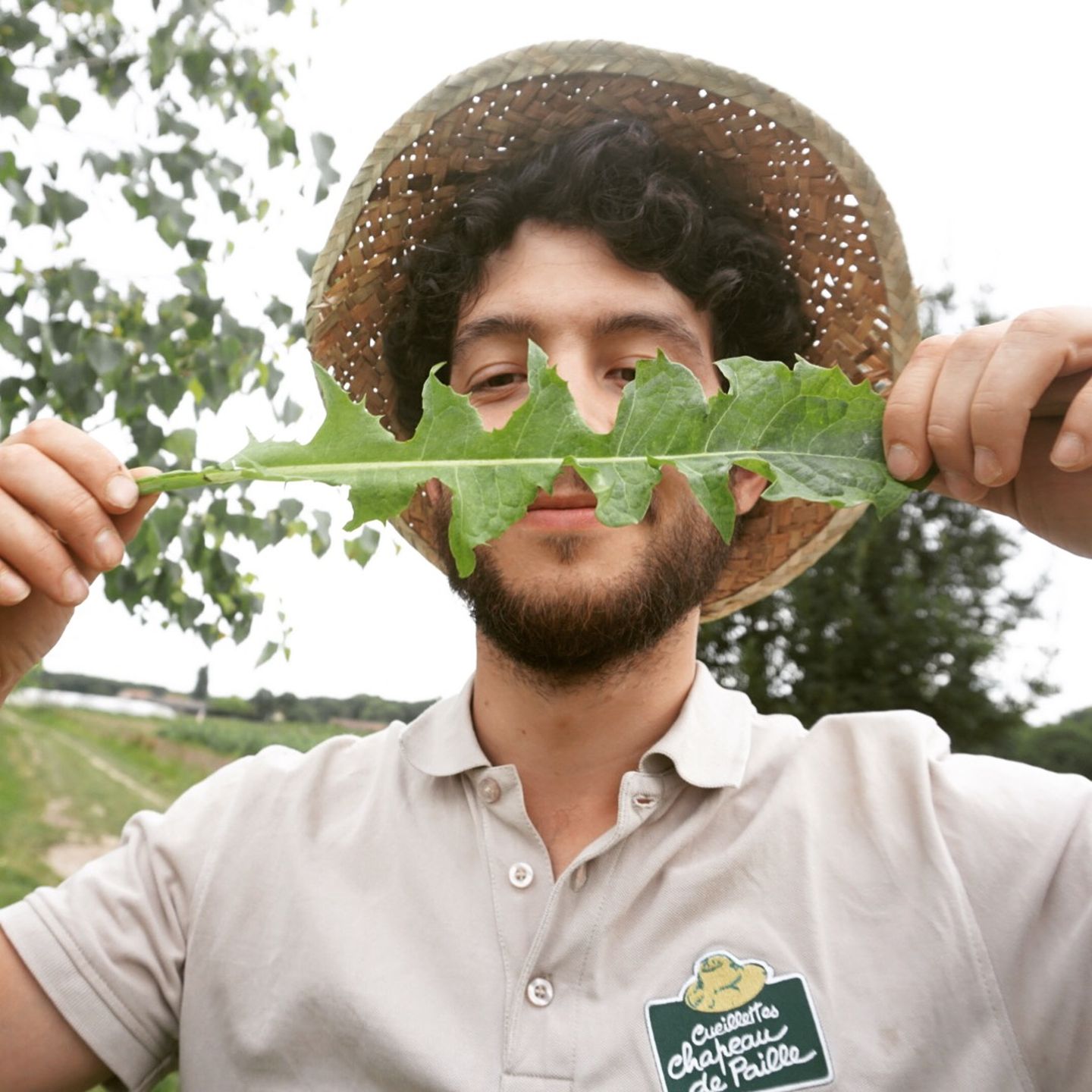 Atelier plantes sauvages comestibles