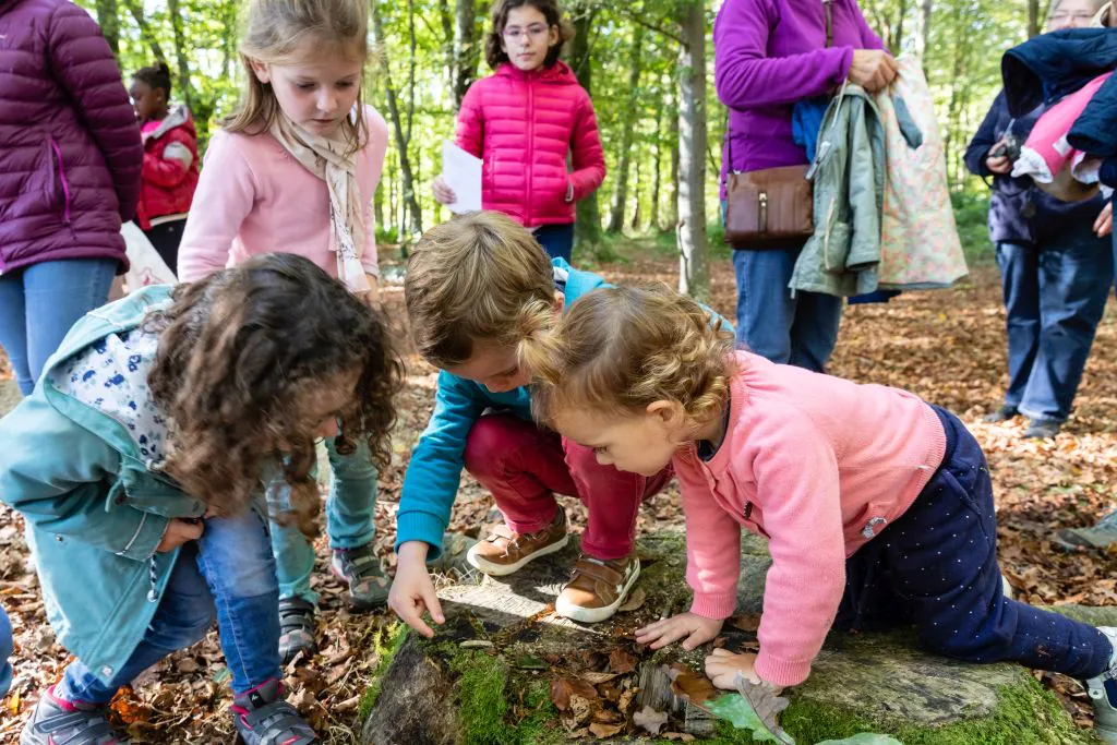 Atelier famille " Le carnaval des animaux de la forêt"