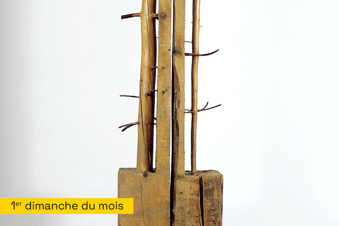 Mini visite Giuseppe Penone Musée d'arts de Nantes Nantes