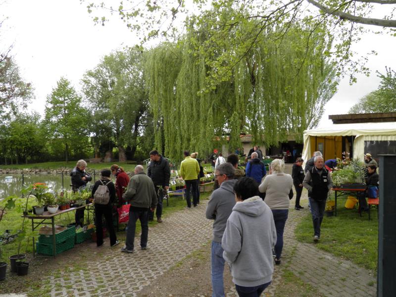 Bourse aux plantes