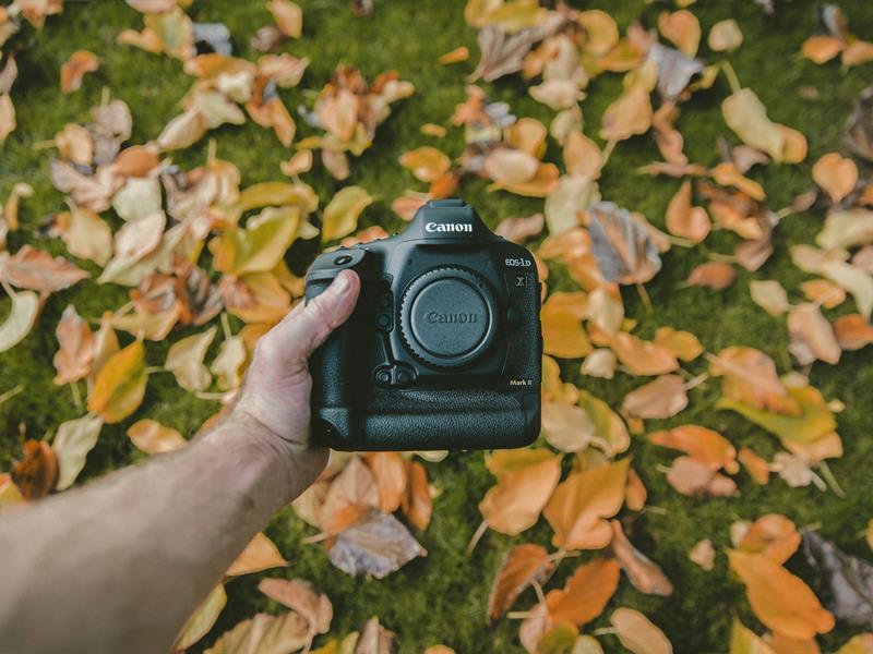 Exposition photo Niederbronn-les-Bains insolite