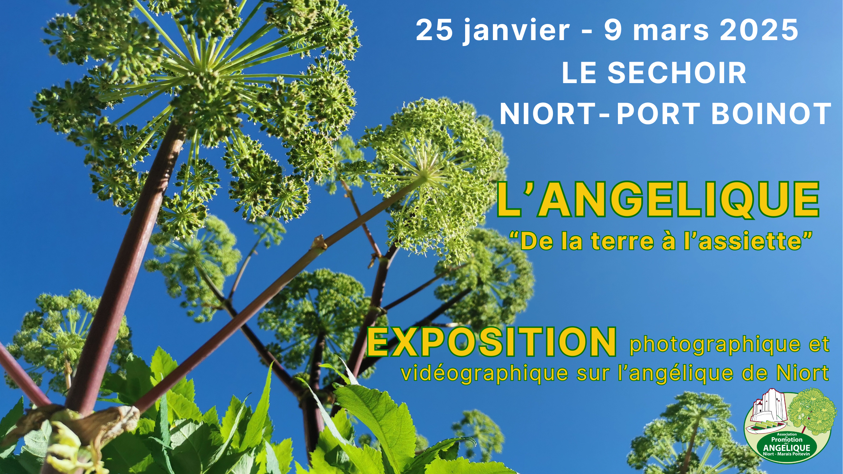 Exposition "l'Angélique