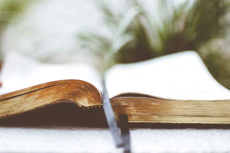 Lecture musicale Un conte dans un arbre