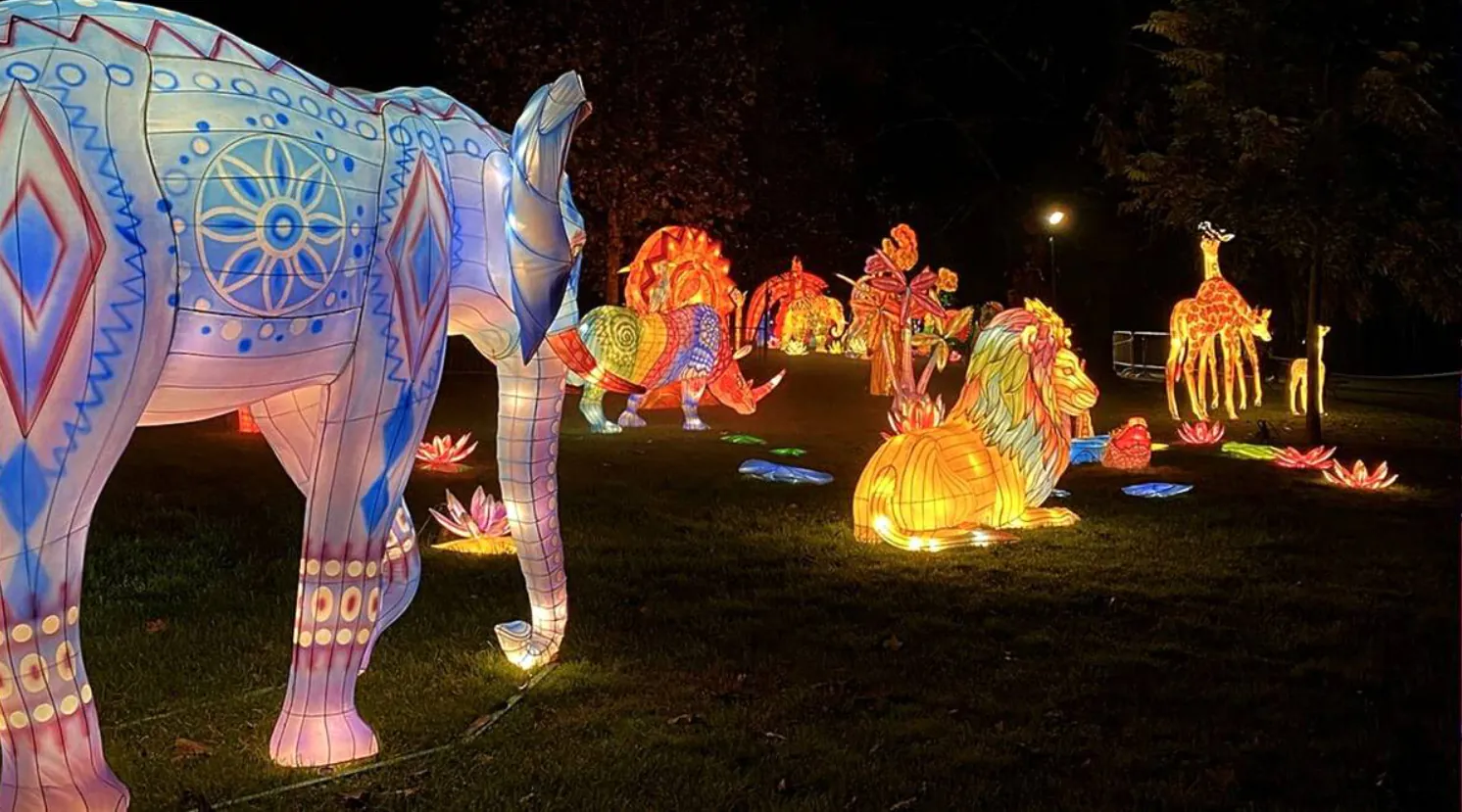 Que faire à Rennes ce weekend 
Idées de sortie
Odyssée lumineuse