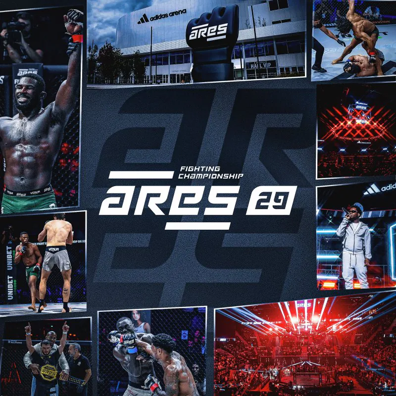 Affiche montrant des combattants de MMA