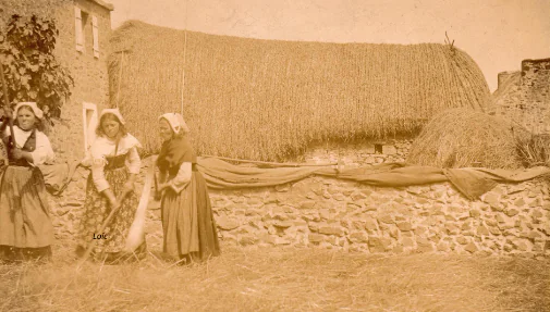 Ouessant, cheveux au vent