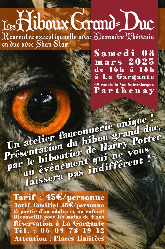 Fauconnerie avec le hiboutier de Harry Potter