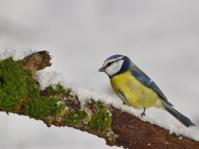 SORTIE EN "PLAINE" NATURE