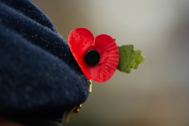 Célébration des 80 ans de l'Armistice 8 Mai 1945 8 Mai 2025