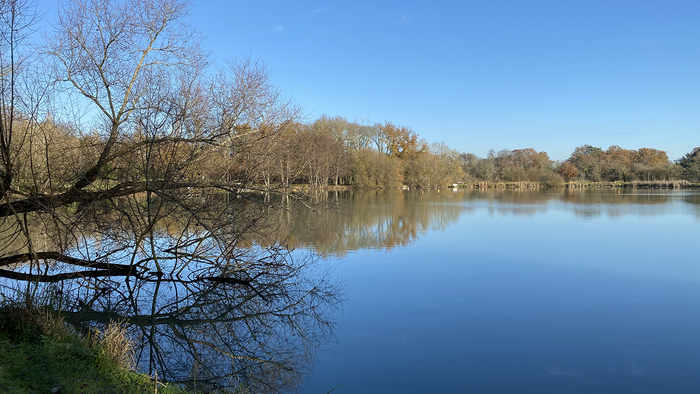 Balade de la biodiversité "Découvrir les oiseaux de l'étang du plessis" Plan d'Eau du Plessis