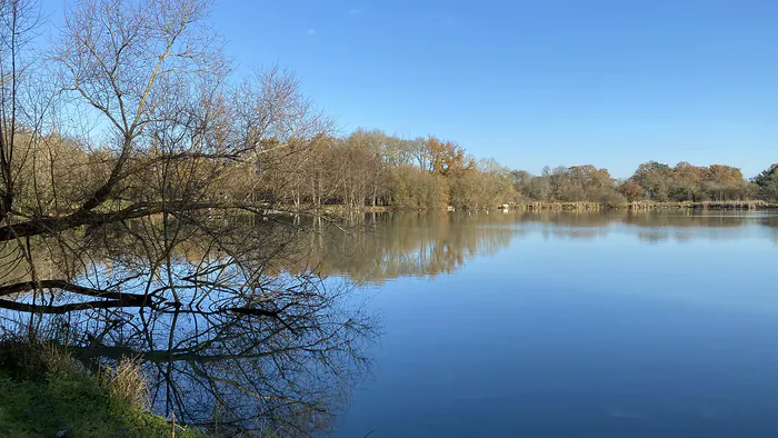 Balade de la biodiversité "Découvrir les oiseaux de l'étang du plessis" Plan d'Eau du Plessis Sainte-Luce-sur-Loire