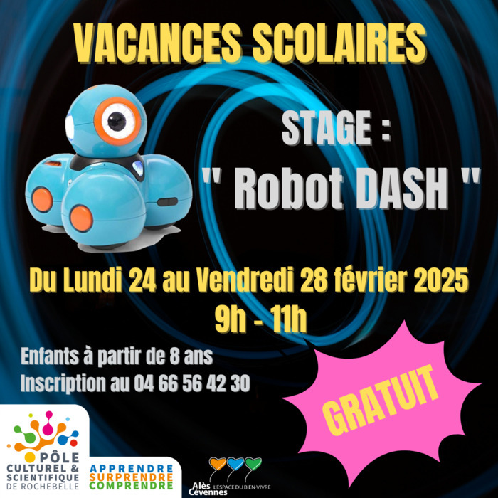 Stage vacances scolaires : " Robot Dash " Pôle culturel et scientifique de Rochebelle Alès